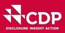 CDP Logo - Disclosure Insight Action