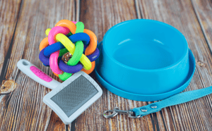Pet Products Subscription Boxes